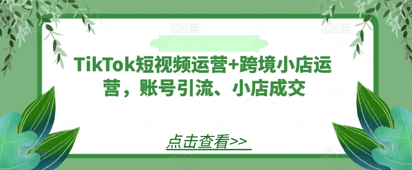 TikTok短视频运营+跨境小店运营，账号引流、小店成交-续财库
