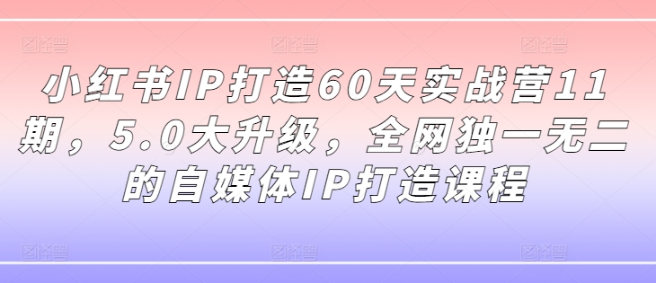 小红书IP打造60天实战营11期,5.0大升级,全网独一无二的自媒体IP打造课程-续财库