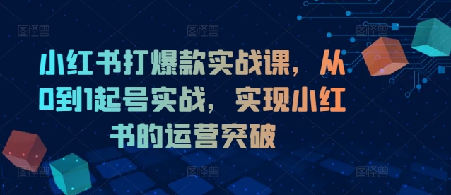 小红书打爆款实战课,从0到1起号实战,实现小红书的运营突破-续财库