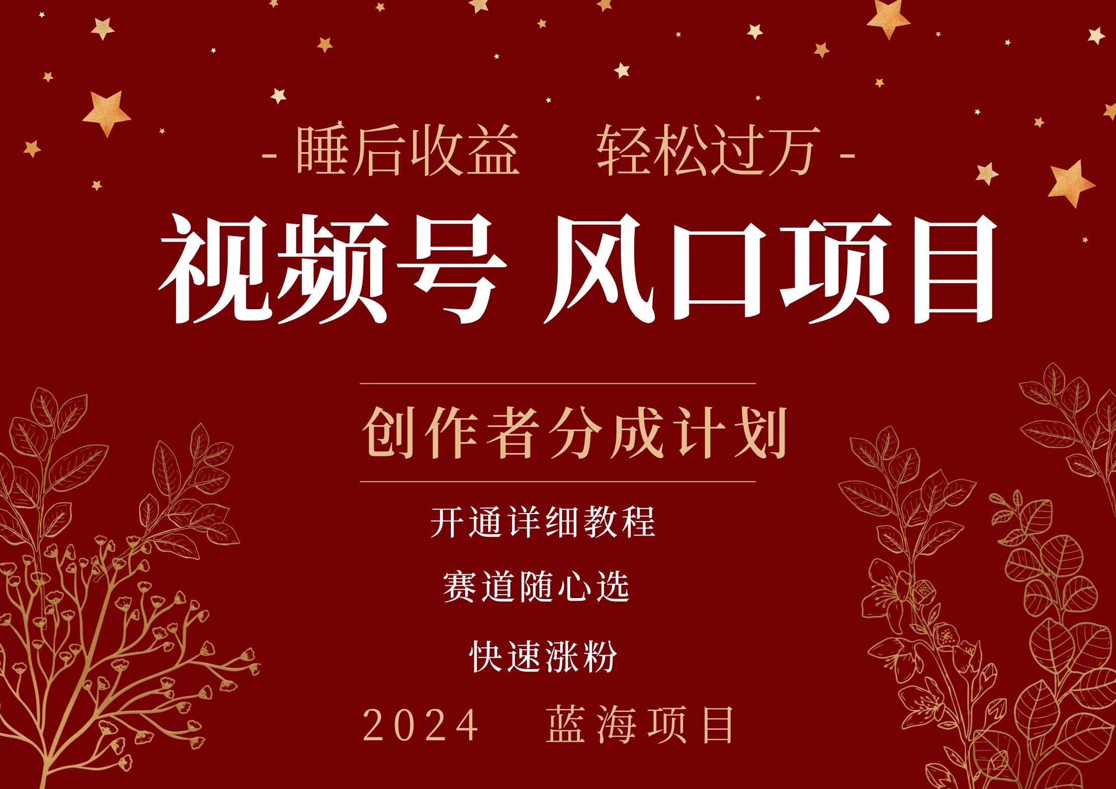 拥有睡眠收益的微信视频号大风口项目,轻松月入过万+,多赛道选择,可矩阵,玩法简单轻松上手-续财库