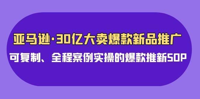 亚马逊30亿·大卖爆款新品推广，可复制、全程案例实操的爆款推新SOP-续财库