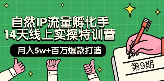 自然IP流量孵化手 14天线上实操特训营【第9期】月入5w+百万爆款打造 (74节)-续财库