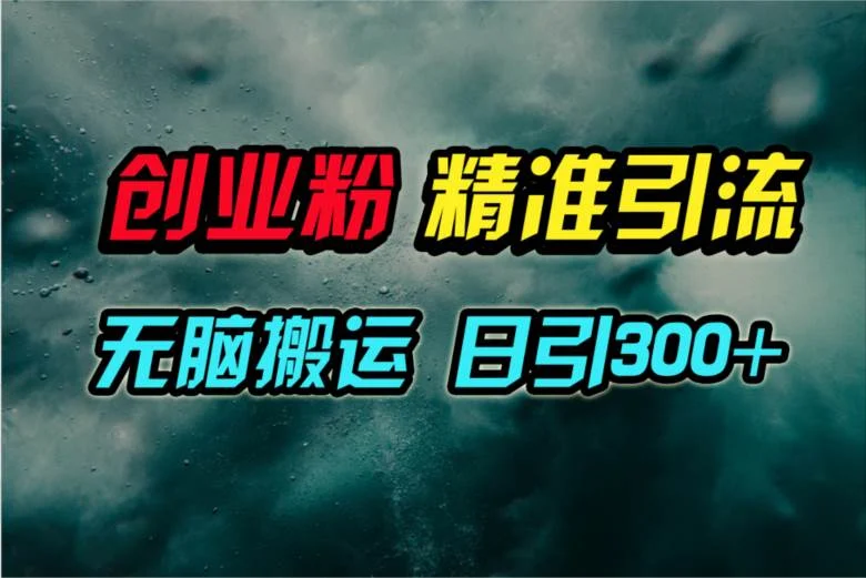 视频号纯搬运日引300+创业粉教程！-续财库