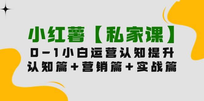 小红薯【私家课】0-1玩赚小红书内容营销,认知篇+营销篇+实战篇(11节课)-续财库