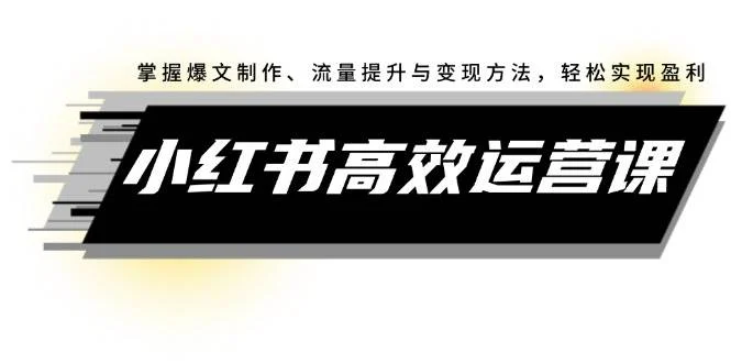 小红书高效运营课:掌握爆文制作、流量提升与变现方法,轻松实现盈利-续财库