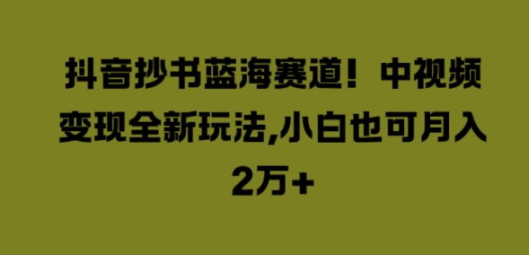 抖音抄书蓝海赛道，中视频变现全新玩法，小白也可月入2W+-续财库