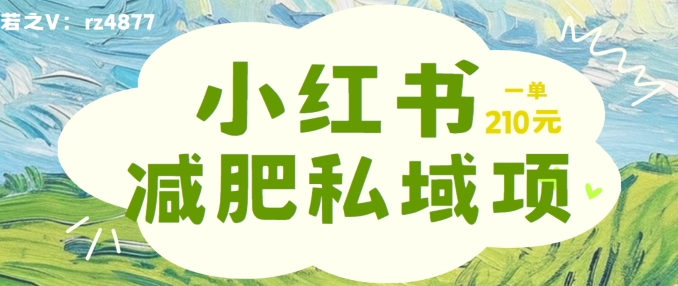 小红书减肥粉,私域变现项目,一单就达210元,小白也能轻松上手【揭秘】-续财库