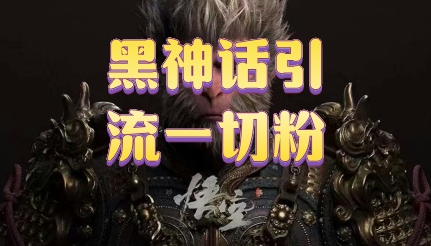 黑神话悟空五分钟打造爆款私域引流视频-续财库