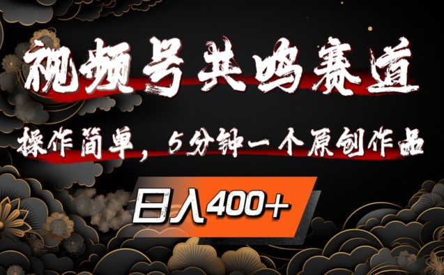 视频号共鸣赛道，操作简单，5分钟1个原创作品，日入几张【揭秘】-续财库
