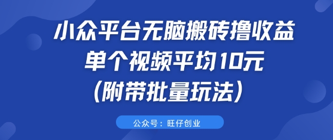 小众平台无脑搬砖撸收益 单个视频平均10元 (附带批量玩法)-续财库
