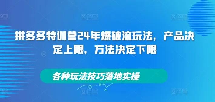 拼多多特训营24年爆破流玩法，产品决定上限，方法决定下限，各种玩法技巧落地实操-续财库
