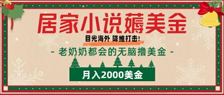 居家小说薅美金，拆解海外撸美金项目月入2000美刀详细指导-续财库