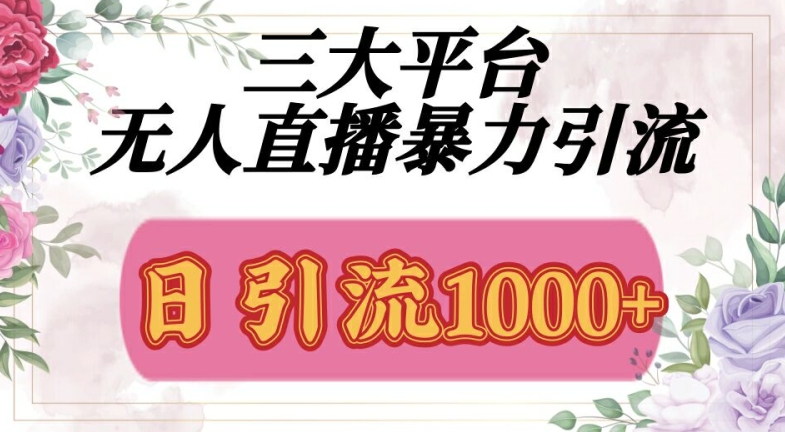 三大平台无人直播引流，吸引精准创业粉-续财库