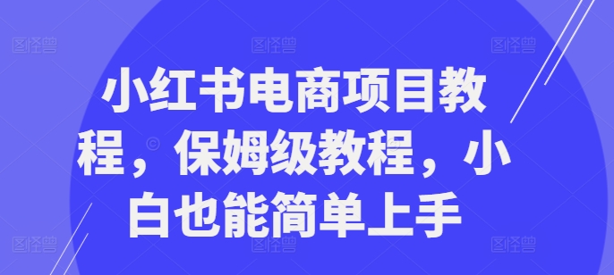 小红书电商项目教程，保姆级教程，小白也能简单上手-续财库