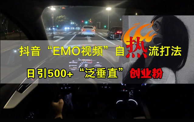 抖音EMO视频自热打法，日引500+“泛垂直”创业粉-续财库