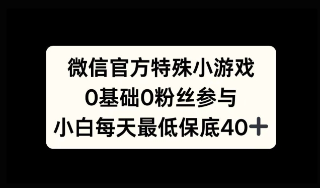 微信官方特定小游戏，0基础0粉丝，小白上手每天最少保底40+-续财库