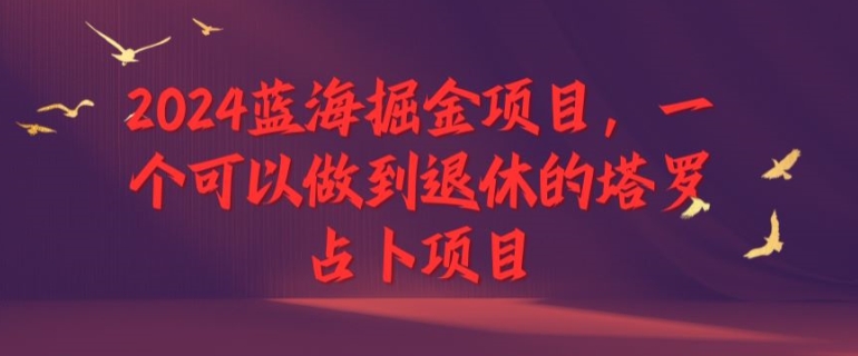 2024蓝海掘金项目，一个可以做到退休的塔罗占卜项目-续财库