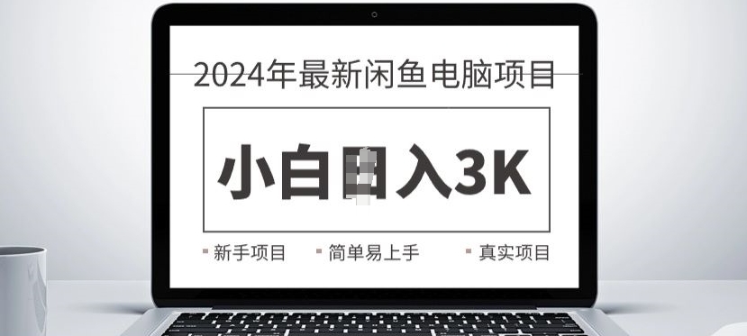 2024最新闲鱼电脑项目，动手就能吃肉的好项目-续财库