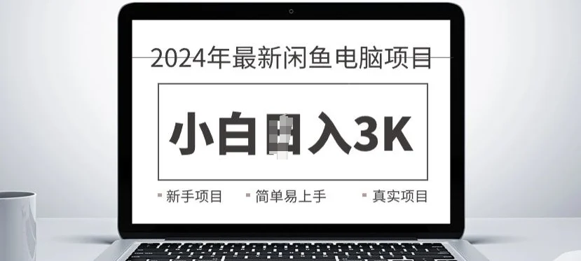 2024最新闲鱼电脑项目，动手就能吃肉的好项目-续财库