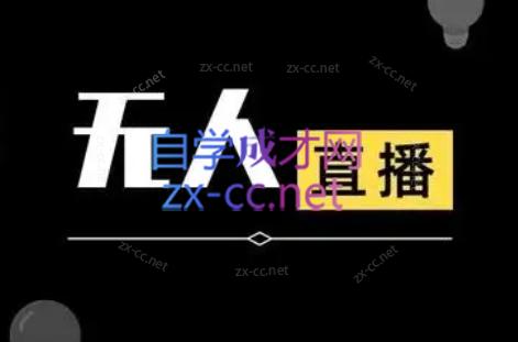 宝子哥·无人直播-非实时防风技术(更新8月)-续财库