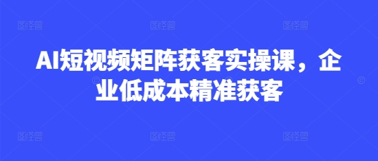 AI短视频矩阵获客实操课,企业低成本精准获客-续财库