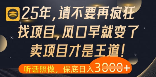 什么？25年你还在疯狂找项目做，醒醒吧，看完这些你全都懂了【揭秘】-续财库