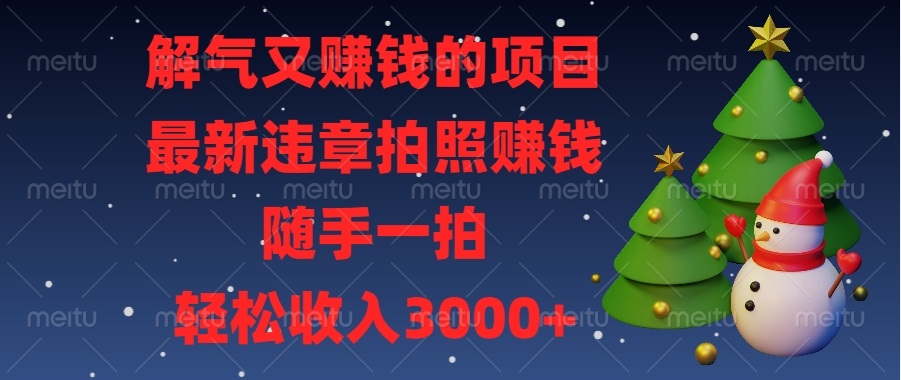 解气又赚钱的项目，最新违章拍照赚钱，随手一拍，轻松收入3000+-续财库