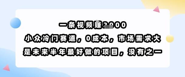 一条视频挣1k,小众冷门赛道,0成本,市场需求大,是未来半年最好做的项目,没有之一-续财库