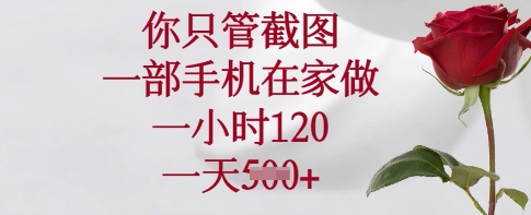 你只管截图,一部手机在家做,一小时120.一天5张【揭秘】-续财库