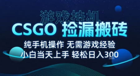 8月最新游戏搬砖,CSGO纯挂G,不需要玩游戏,实现真挂G,月入1W+【揭秘】-续财库