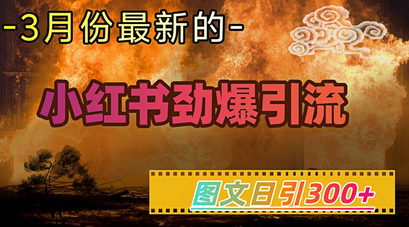 小红书超劲爆引流手段，图文日引300+轻松变现1W-续财库
