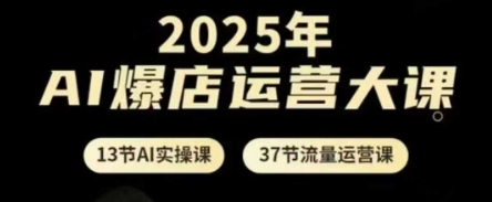 2025年AI爆店运营大课,13节AI实操课+37节流量运营课-续财库