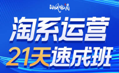 白凤电商·淘系运营21天速成班(更新9月)-续财库