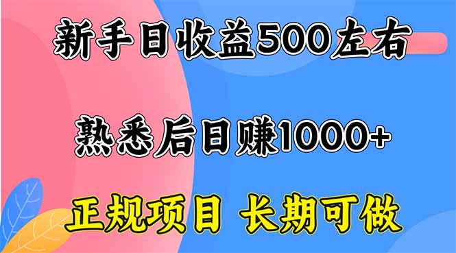 新手日收益500+ 正规项目 长期可做-续财库