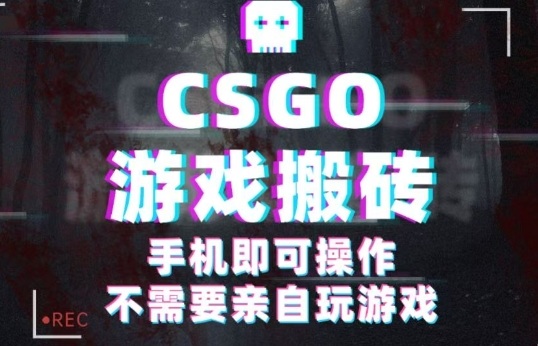 CSGO游戏挂G捡漏，单日扫货5张+，年底小高峰上车可吃肉，手机即可操作，兼职副业创业网创【揭秘】-续财库