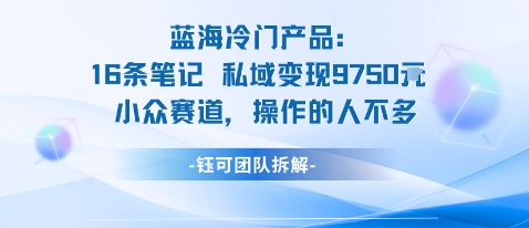 蓝海项目：16条笔记私域变现9750米小众赛道操作的人不多-续财库