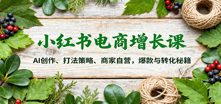 小红书电商增长课：AI创作、打法策略、商家自营，爆款与转化秘籍-续财库