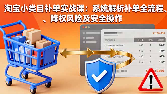 淘宝小类目补单实战课：系统解析补单全流程、降权风险及安全操作-续财库