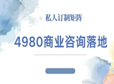 4980商业咨询师落地课程-ip运营高客单教程-续财库