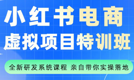 陆明明·小红书虚拟项目特训班(更新9月)-续财库