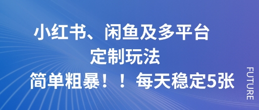 小红书、闲鱼及多平台定制玩法简单粗暴！每天稳定5张-续财库