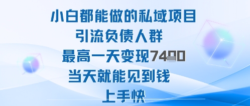 2025年小白都能做的私域项目引流负债人群最高一天变现1k+高变现难度低当天就能见到钱上手快-续财库