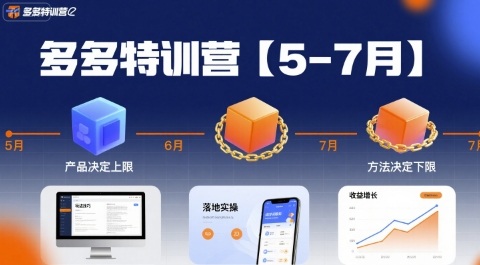 多多特训营,产品决定上限,方法决定下限,各种玩法技巧落地实操(更新)-续财库