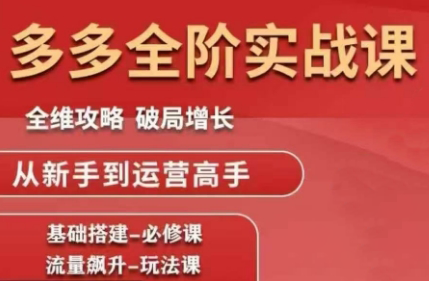 大炮·拼多多全阶实战课程(更新10月)-续财库