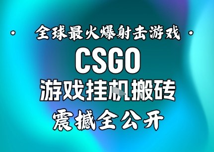 【年底大揭秘】基于全球最火爆的射击CSGO游戏挂G搬砖,日入5张+,震撼公开-续财库
