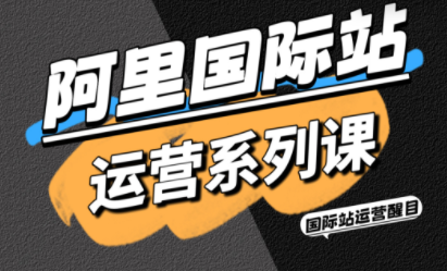醒目老师·阿里国际站运营系列课(更新11月)-续财库