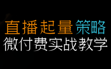 半野老师·直播带货起量与微付费必学课视频号-续财库
