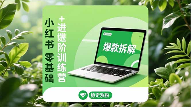 小红书零基础+高阶训练营:安全养号、爆款拆解、长效运营,实现稳定涨粉与变现-续财库