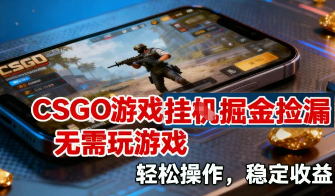 CSGO游戏挂G掘金捡漏，不需要玩游戏，操作简单，收益稳定【揭秘】-续财库