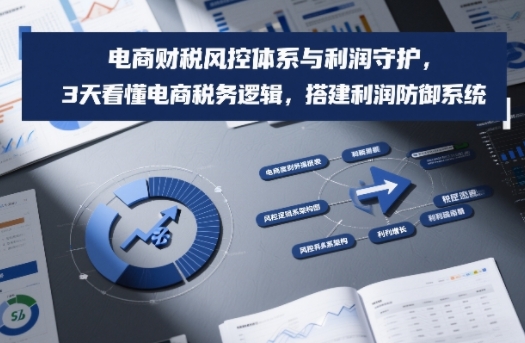 电商财税风控体系与利润守护，3天看懂电商税务逻辑，搭建利润防御系统-续财库